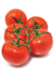 fresh red tomatos
