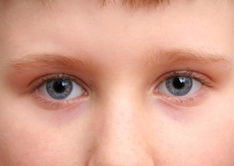 Fototapeta premium niebieskie oczy