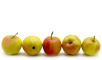 Apples