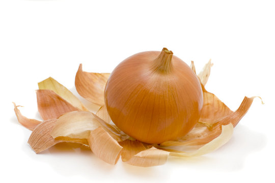 Golden onion