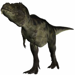 Obraz na płótnie Canvas Tyrannosaurus Rex - 3D Dinosaurier