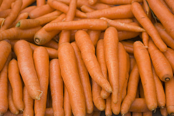 Organic and fresh carrots in the bazaar