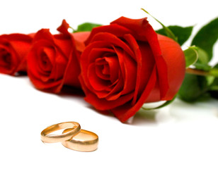 Wedding rings and red roses