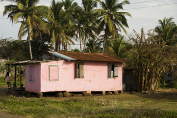 typical architecture  house corn island nicaragua jungle