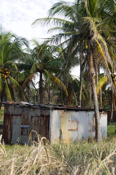 typical house corn island nicaragua