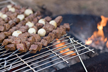Shish Kebabs