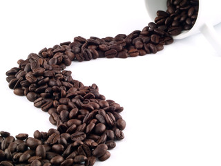 Coffee Beans from a Cup 3