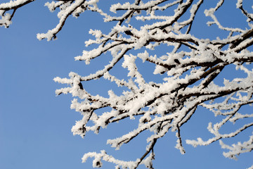 Abstract winter