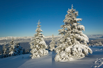 neige belledonne