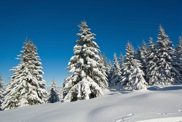 neige belledonne