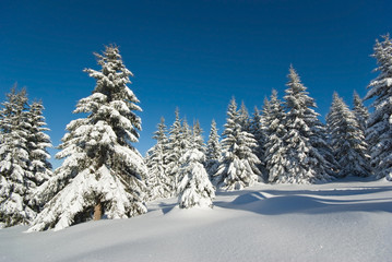 neige Belledonne