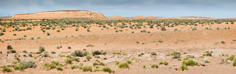 Desert pano.
