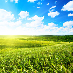 summer field and perfect sky