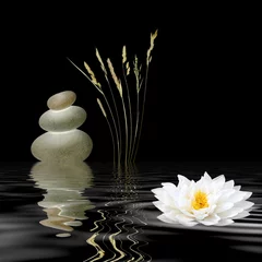 Symboles Zen