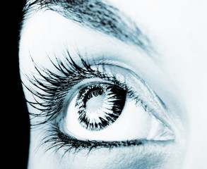 Great big eye.