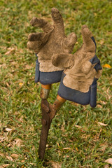 Gardening gloves and shears