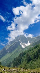 Fototapeta premium high mountains