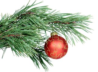 Fototapeta na wymiar christmas toy hanging on a fir