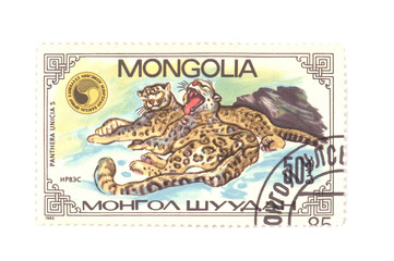 postage stamp panthera macro