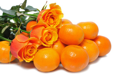 mandarins with rose
