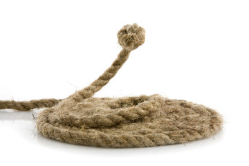 snake from rope on white - 10929624