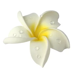 Cercles muraux Frangipanier gouttes d'eau sur fleur blanche de frangipanier détourée