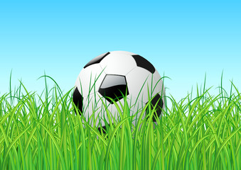 soccer ball in the grass