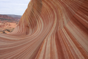 The Wave