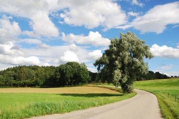 Fototapeta na wymiar Bavarian landscape