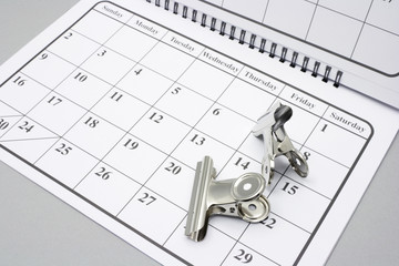 Bulldog Clips on Calendar