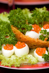 Catering - caviar appetizer 3