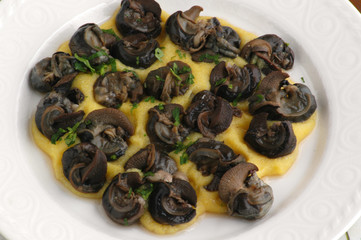 Bogoni alla veronese - Secondi di carne - Ricette del Veneto