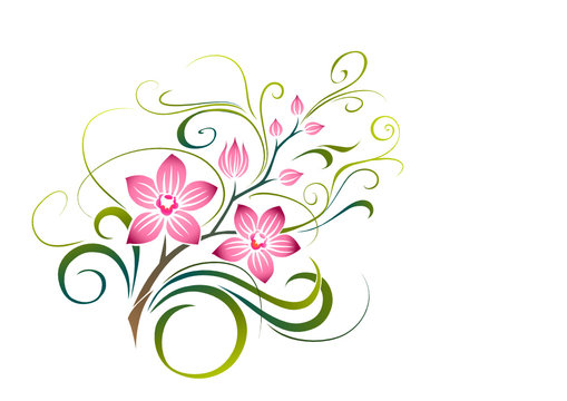 Orchid