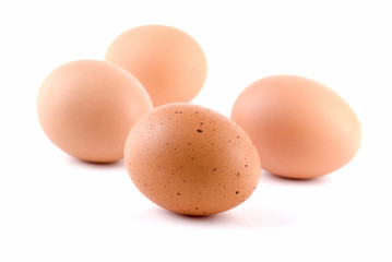 Brown Eggs