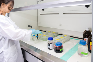 Work in the laboratory