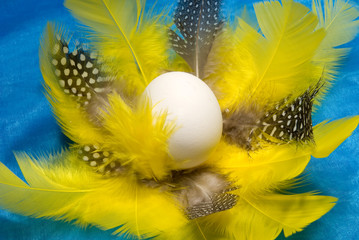 OsterNest