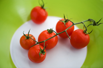 Pomodori