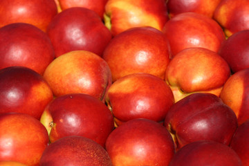 pfirsich obst