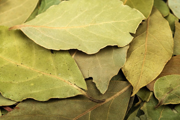 Bay Leaves