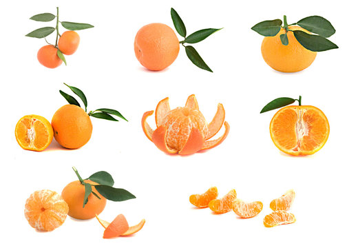 Different cultivars of tangerines isolated on white background