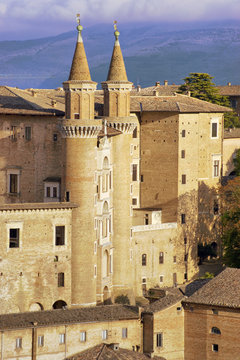 Torricini di Urbino