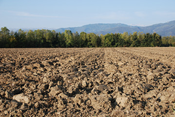 Ploughed Autumnal Field