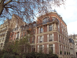 Immeubles et arbres, rues de Paris. France.