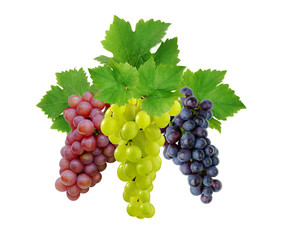 Three various grapes