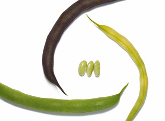three bean pod isolated on white
