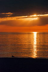 Fototapeta premium Sonnenuntergang in Naples,Florida,USA