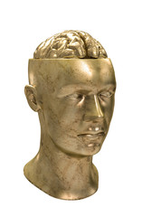 Conceptual illustration of the human mind