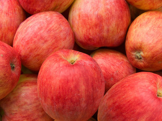 Fruit apples red