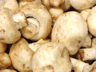 mushrooms