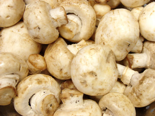 mushrooms